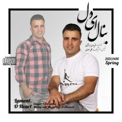 فریدون ابراهیمی بنال ای دل